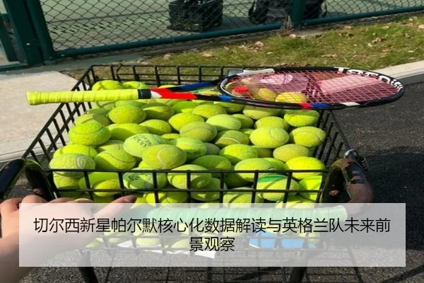 切尔西新星帕尔默核心化数据解读与英格兰队未来前景观察